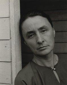  作： Alfred Stieglitz