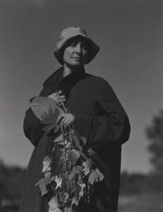  作： Alfred Stieglitz