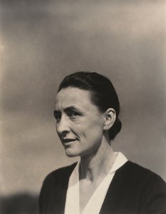  作： Alfred Stieglitz
