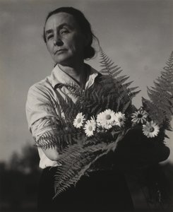  作： Alfred Stieglitz
