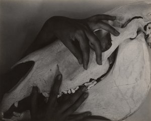 ジョージア・オキーフ - 手と馬の頭蓋骨 作： Alfred Stieglitz