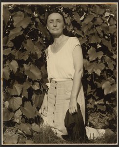  作： Alfred Stieglitz