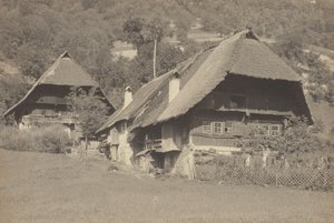  作： Alfred Stieglitz