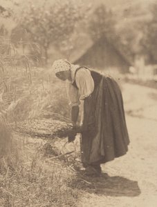  作： Alfred Stieglitz