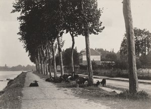  作： Alfred Stieglitz