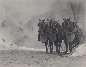  作： Alfred Stieglitz