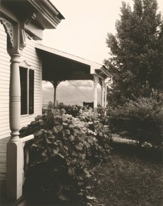 ハウスとブドウの葉 作： Alfred Stieglitz