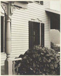 家とブドウの葉、1934年。