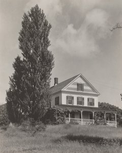  作： Alfred Stieglitz