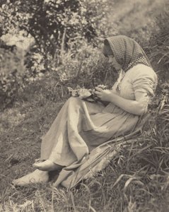  作： Alfred Stieglitz