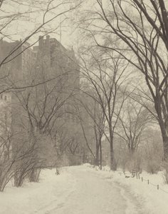  作： Alfred Stieglitz