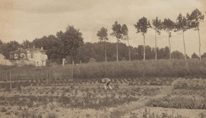  作： Alfred Stieglitz