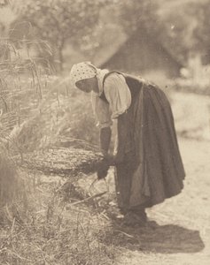  作： Alfred Stieglitz