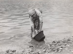  作： Alfred Stieglitz