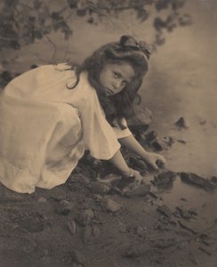  作： Alfred Stieglitz