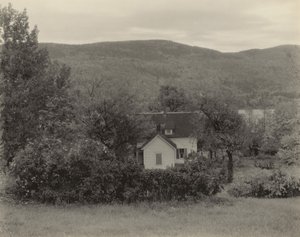  作： Alfred Stieglitz