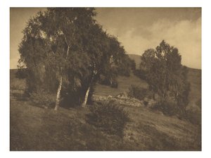 [風景、チロル］ 作： Alfred Stieglitz