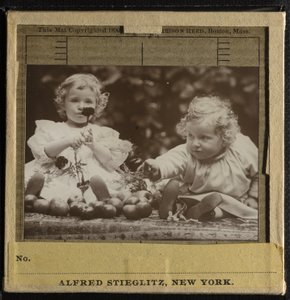 姪 - 花を抱くフローラとヘドウィグ 作： Alfred Stieglitz