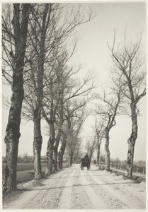 11月の日 作： Alfred Stieglitz