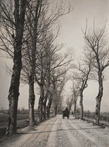  作： Alfred Stieglitz
