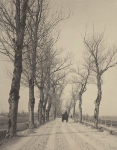  作： Alfred Stieglitz