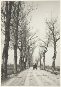 1887 年 11 月の日々、192039 年に印刷。 作： Alfred Stieglitz