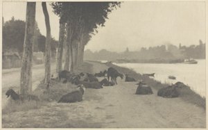 セーヌ川沿い—パリ近郊 作： Alfred Stieglitz