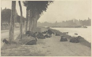 1894 年、パリ近郊のセーヌ川で、1897 年に印刷。 作： Alfred Stieglitz