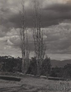 作： Alfred Stieglitz