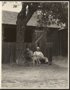  作： Alfred Stieglitz