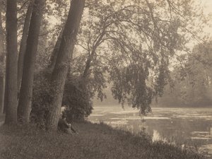  作： Alfred Stieglitz