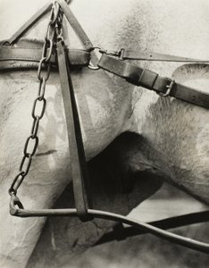 スピリチュアル アメリカ: 空の歌 A1 作： Alfred Stieglitz