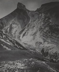  作： Alfred Stieglitz