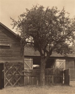  作： Alfred Stieglitz