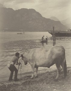  作： Alfred Stieglitz