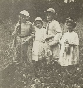無題 (フローラ、エリザベス、ハワード、キティ、レイク ジョージ フィールド) 作： Alfred Stieglitz