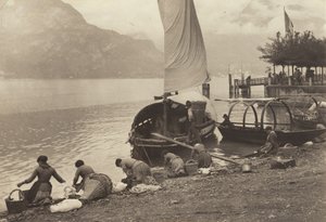  作： Alfred Stieglitz