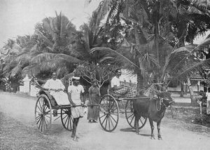 人力車とレーシングハッカー、c1890、1910 作： Alfred William Amandus Plate