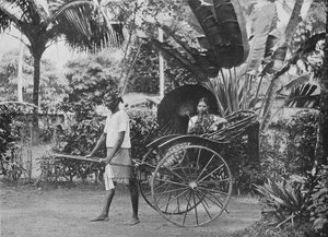 人力車のタミルレディー、c1890、1910 作： Alfred William Amandus Plate