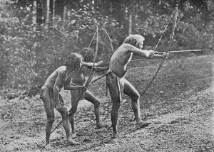 ヴェッダまたは野生の男性、c1890、1910