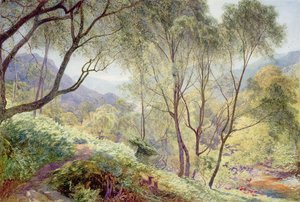 1864年、ガウバロウパークのアルズウォーター 作： Alfred William Hunt