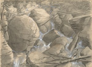 ブラックウォーターを下る 作： Alfred Wordsworth Thompson