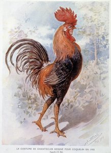 1908年に「コンスタント・ポピー」のためにデザインされた「シャンテクレールの雄鶏の衣装」、エドモンド・ロスタンの詩による作品