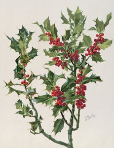 ホーリー、エンサイクロペディの芸術家とドクトルドラプランテのイラスト、パリで出版、1904-08 chromolitho
