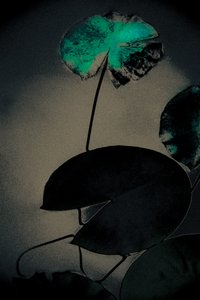 エメラルドの春、シリーズ「春」より、2020年（手描きのリペイント写真）