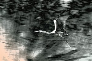 聖地からの飛行、2015年（手描きリペイント写真）