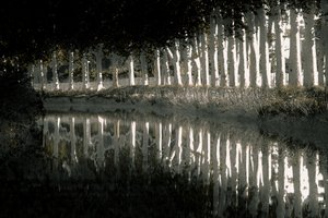 レンダリング、2018年（手で塗り直した写真）