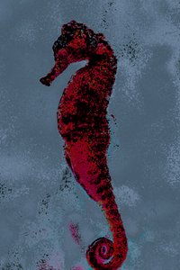 タツノオトシゴ、2018年（手描きリペイント写真）