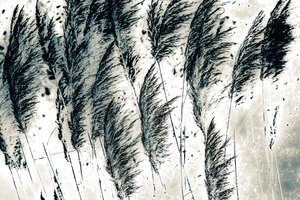 西からの風、2016年（手描きリペイント写真）