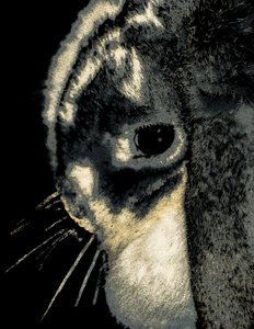 ウサギの肖像、2022年（リペイントされた写真）